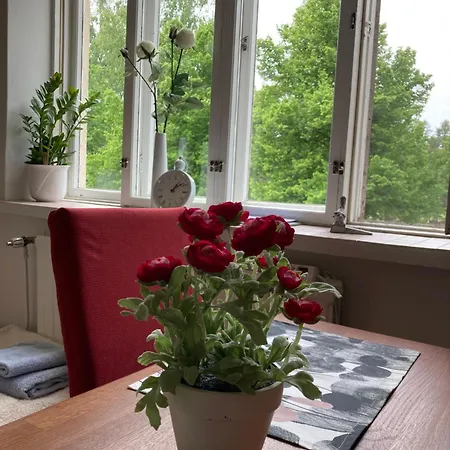 Apartmán Kodikas Pieni Koti Hartolan Keskustassa Hartola